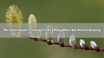 Nụ Tầm Xuân -Trang Trí Tết May Mắn Và Thịnh Vượng